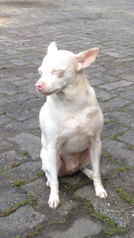 Bild "alwin_01.jpg"
