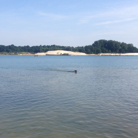 Bild "Henkabenteuer:henk_im_baggersee_lette_02.jpg"