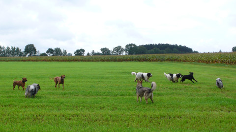Bild "klaefftreff_210914.jpg"