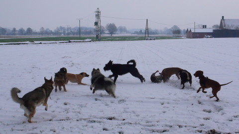 Bild "klaefftreff_im_schnee_01.jpg"