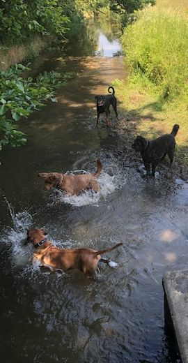 Bild "Henkabenteuer:wasserfreuden_01.jpg"