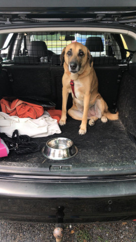 Bild "Henkrunden:henkrunde_210704_01.jpg"